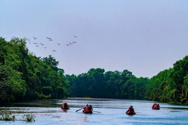 Visitas turísticas a la reserva ecológica Dong Thap Muoi: guía inspiradora