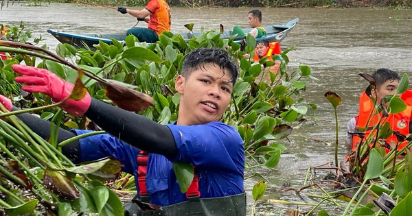 Des centaines de jeunes de Da Nang ont bravé la pluie pour ramasser des lentilles d'eau afin de nettoyer un lac de 20 000 mètres carrés.