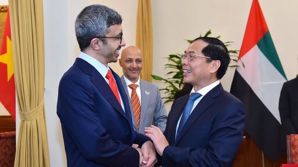 Vietnam es un socio importante en la región del Sudeste Asiático de los Emiratos Árabes Unidos.