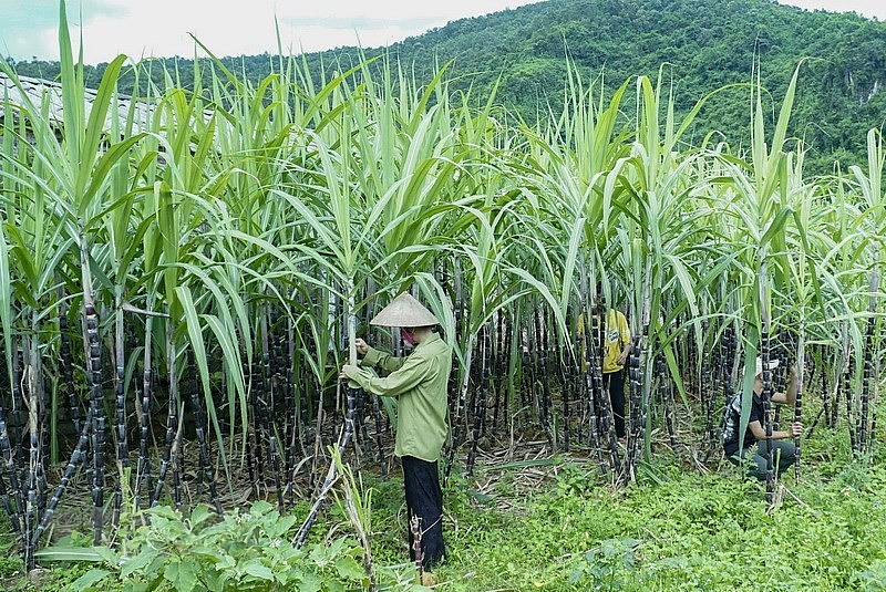 Phòng vệ thương mại của Việt Nam thực hiện công bằng, công khai, minh bạch