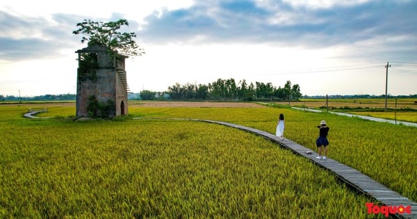 Young people "change the wind" to visit the picturesque old brick kiln near Hoi An