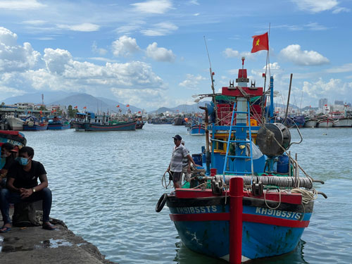 Gỡ thẻ vàng IUU: Nghiêm nhưng cần khéo - Ảnh 2.