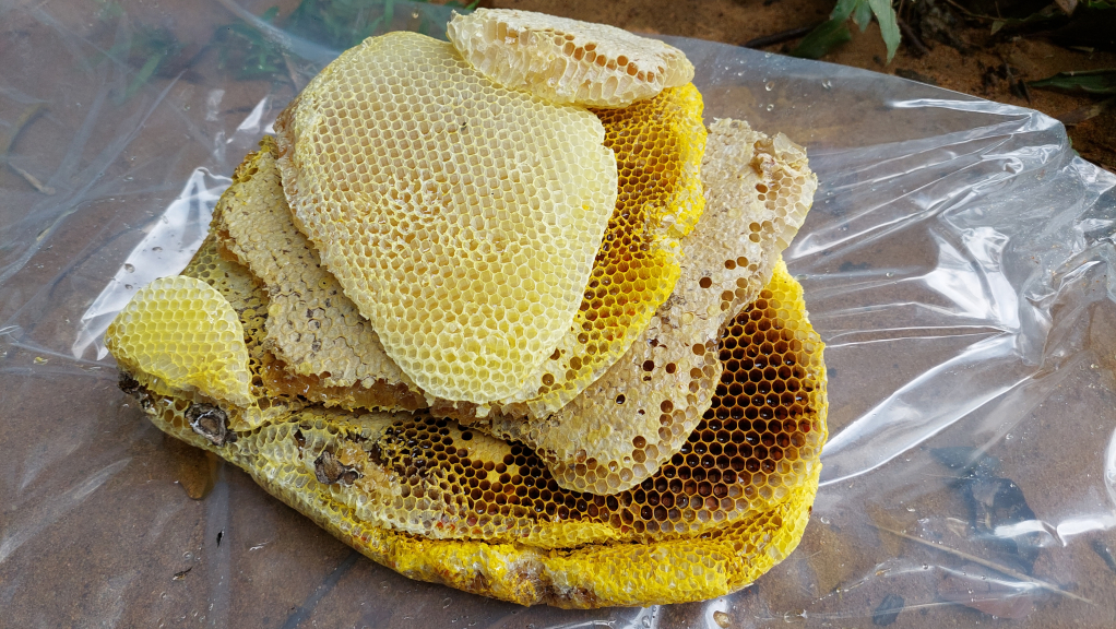 La première ruche de roche a produit environ 8 kg de miel.