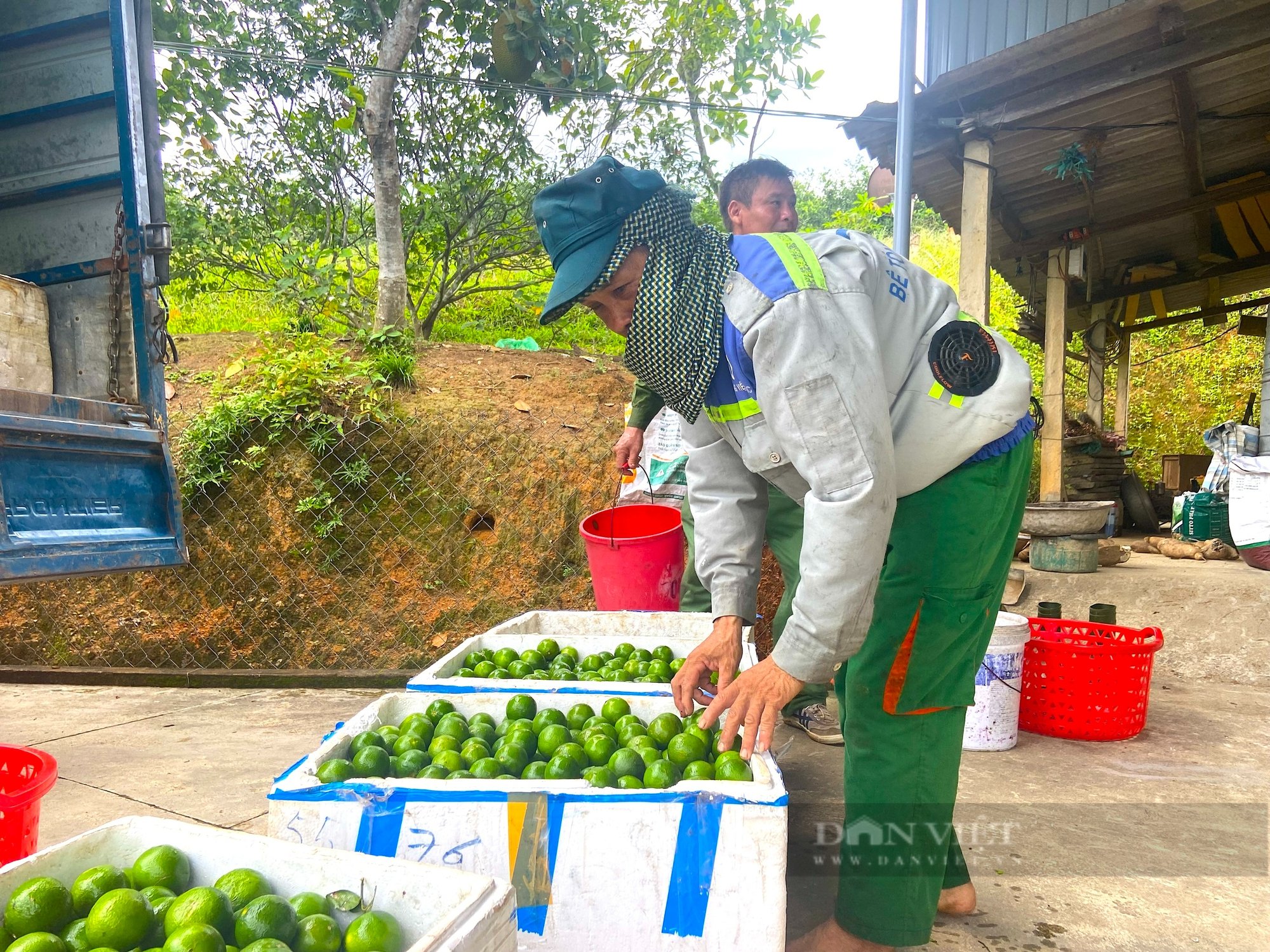 Người dân huyện miền núi Hà Tĩnh đút túi gần nửa tỷ nhờ trồng loại cây “siêu trái”, có vị chua- Ảnh 4.