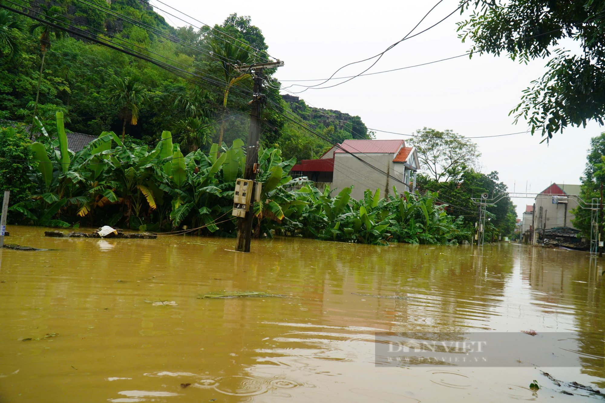 Vĩnh Lộc (Thanh Hóa): 174 hộ dân chìm trong nước lũ - Ảnh 5.