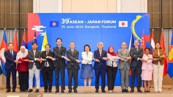 Deputy Foreign Minister Do Hung Viet attends the 39th ASEAN-Japan Forum