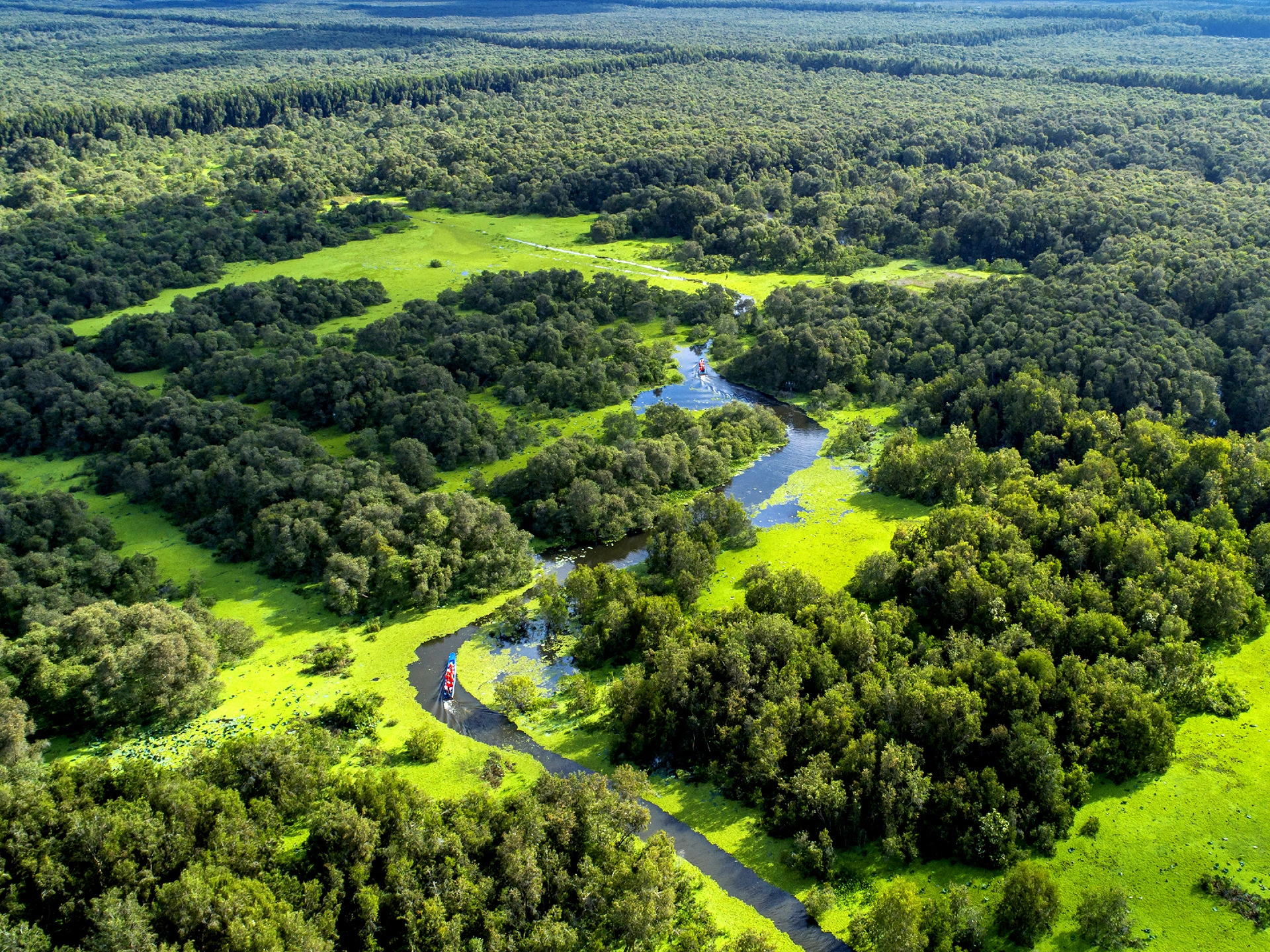 2 heures de découverte de la forêt de cajeput à An Giang