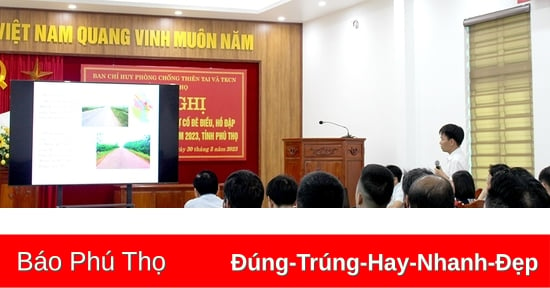 Tập huấn kỹ thuật xử lý sự cố đê điều, hồ đập và phòng chống thiên tai