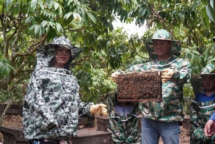 Experimente la cosecha de miel cultivada en un jardín de lichis...