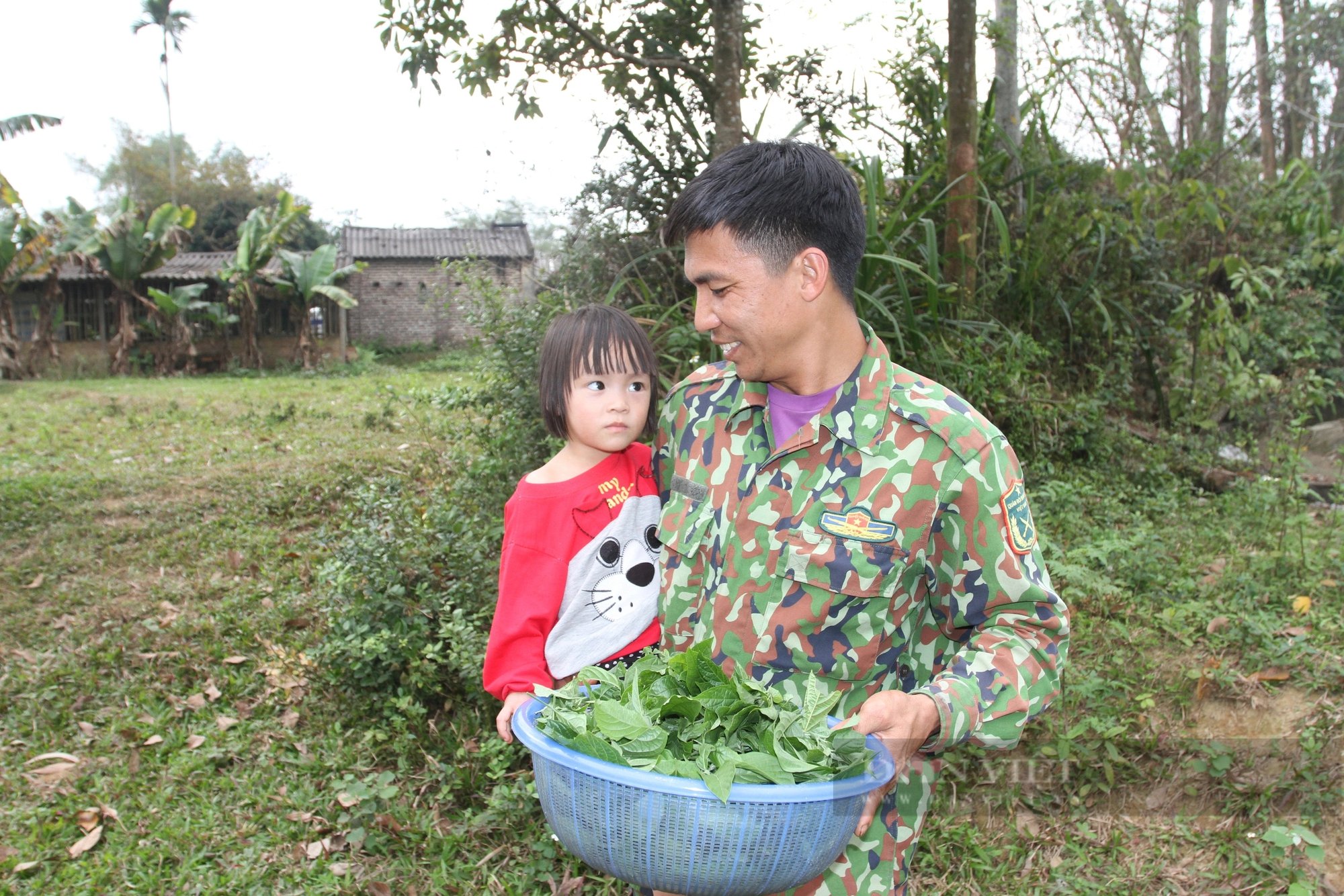 Loại rau dại nhai đắng gắt nay là đặc sản, già trẻ đi săn lùng ở Thái Nguyên, đó là rau gì?- Ảnh 3.