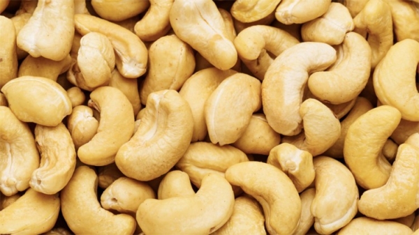 Cashew-Industrie und neuer Exportrekord