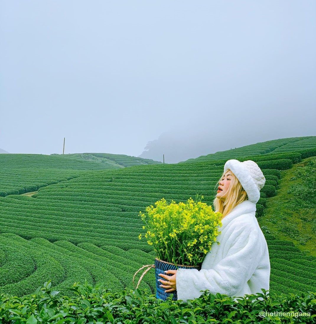 moc chau mua man chin anh 8