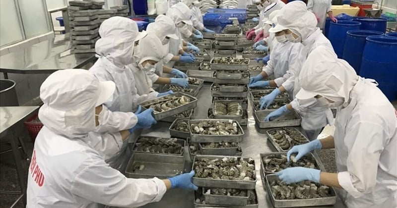 Herausforderungen beim Export von Meeresfrüchten aus Vietnam im Wert von 9,5 Milliarden USD im Jahr 2024