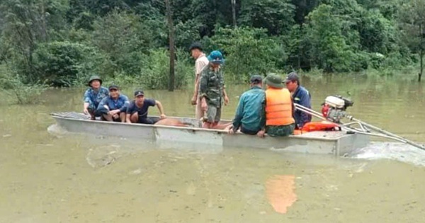 Las autoridades de un lugar en Quang Binh tuvieron que atar ocho vacas para "huir" de las aguas de la inundación.