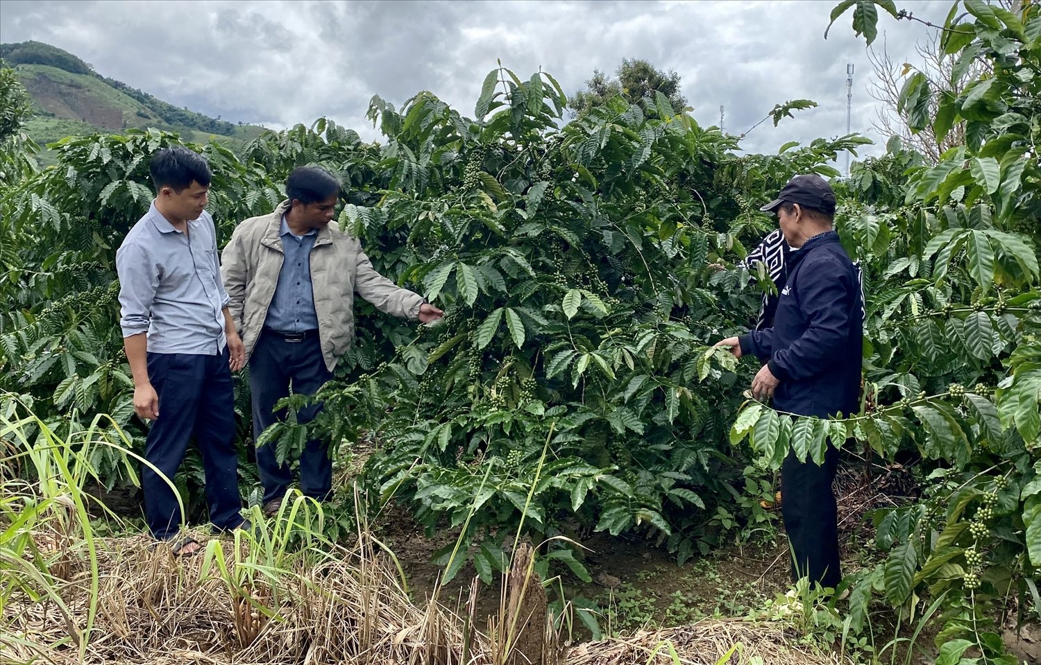 Đội ngũ Người có uy tín luôn đi đầu trong công tác tuyên truyền, vận động Nhân dân sử dụng có hiệu quả các nguồn lực hỗ trợ của Nhà nước để phát triển kinh tế