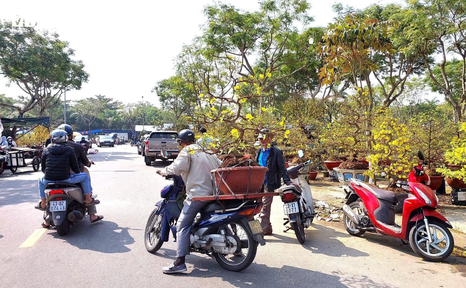 Transportando flores del Tet para ganar millones cada día, los conductores trabajan día y noche - 8