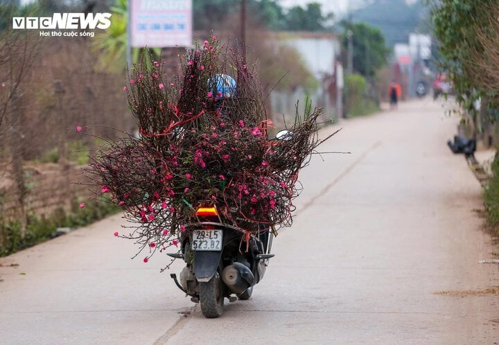 From the night of January 15-17, the North, Thanh Hoa and Nghe An will have scattered rain and light rain. (Photo: Ngo Nhung)