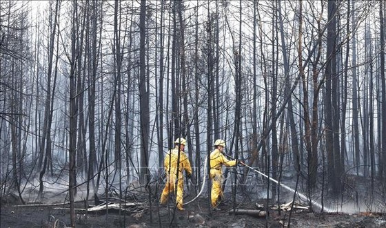 Los bomberos trabajan para controlar los incendios forestales en Nueva Escocia, Canadá, el 3 de junio de 2023. Foto: THX/TTXVN