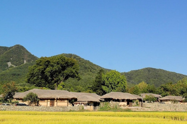 시간이 멈춘 듯한 한국의 고대 마을을 탐험해 보세요 - 사진 3.