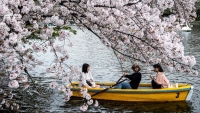 Ein Blick in die japanische Kultur: Die Natur im Land der aufgehenden Sonne