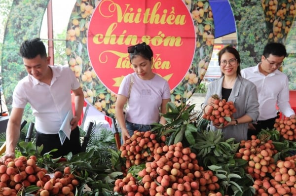 Plus de 20 000 tonnes de litchis ont été consommées.