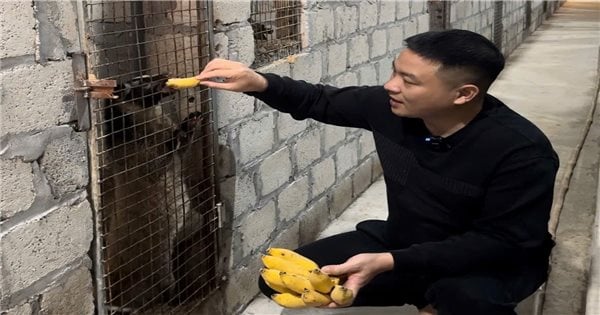 Tuyen Quang : Renforcer la conservation et le développement économique grâce à l'élevage d'animaux sauvages d'origine légale