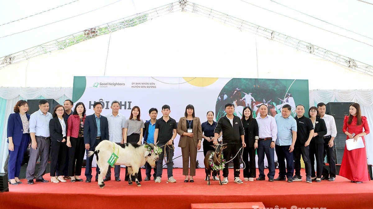 Concours de chèvres – Une belle caractéristique culturelle du début du printemps à Tuyen Quang