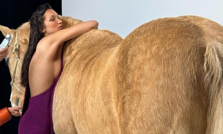 Bella Hadid critiquée pour avoir pris des photos à cheval