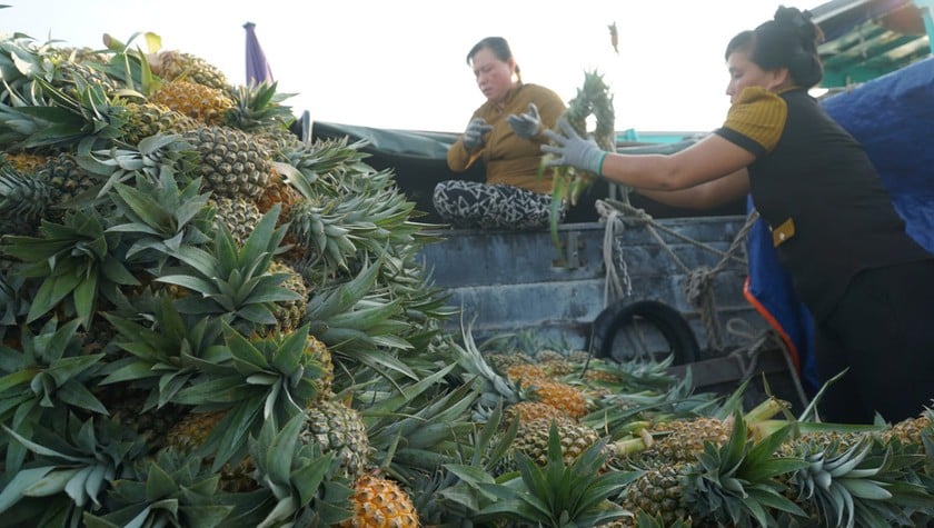 Người dân vẫn giữ thói quen mua hàng hóa trên các ghe, xuồng. Ảnh: Ngọc Tài