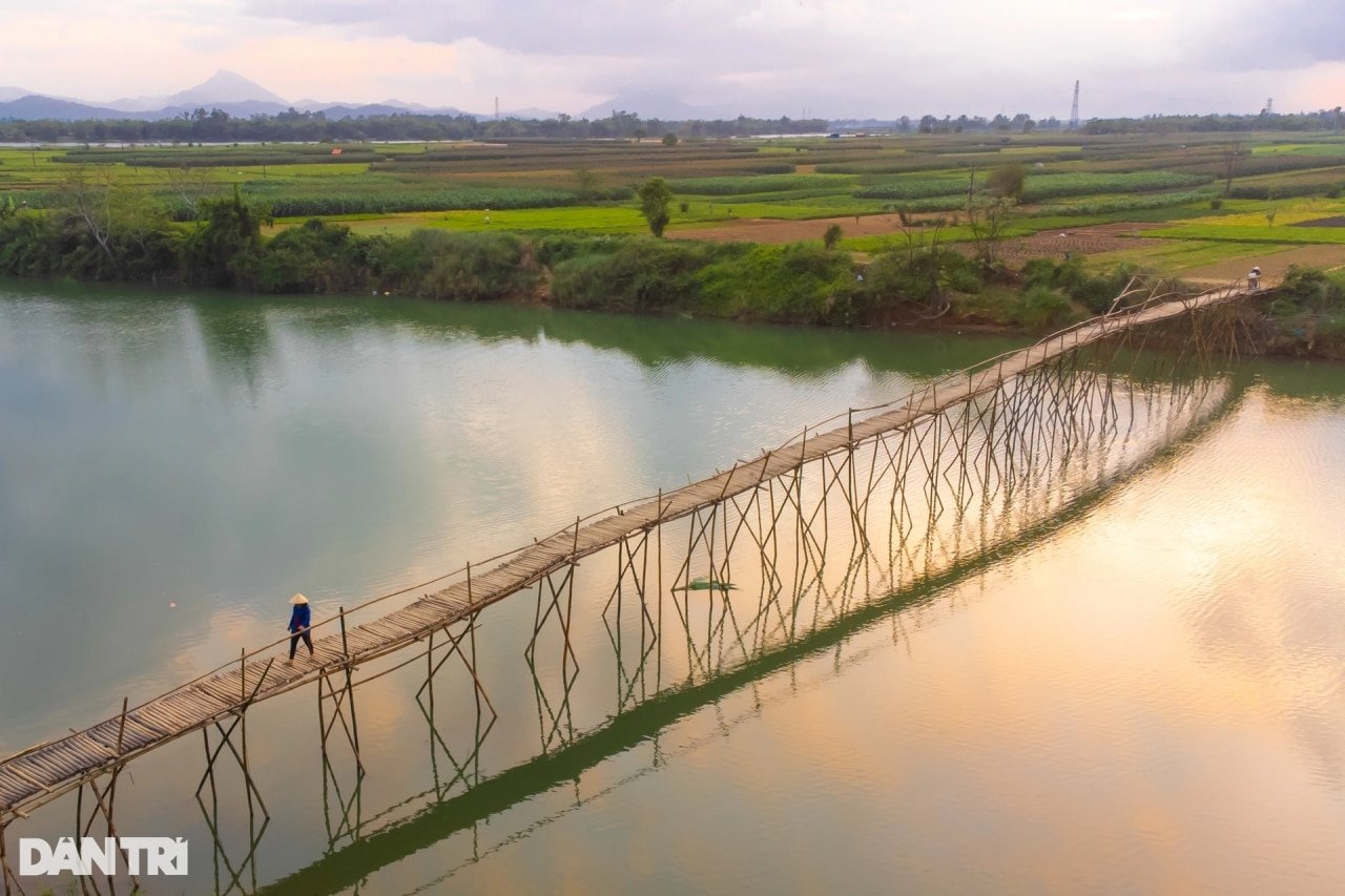 Cầu tre duy nhất còn lại ở Quảng Nam, khách nước ngoài thích thú chụp ảnh - 3