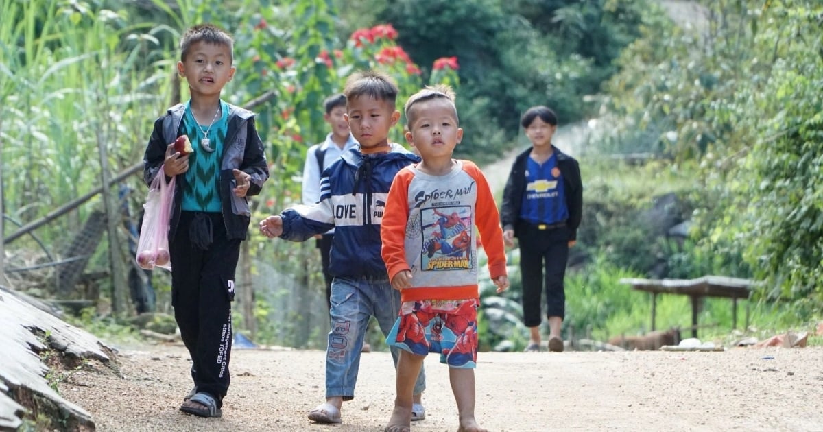 Liên ngành chung tay phòng ngừa, giảm thiểu trẻ em lao động trái quy định