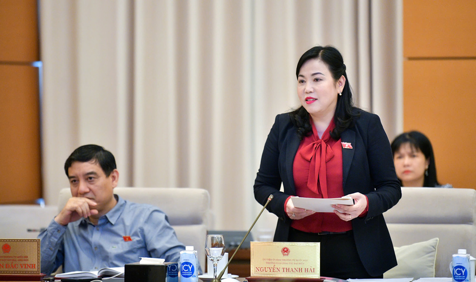 Head of the Delegation Affairs Committee of the National Assembly Standing Committee Nguyen Thanh Hai presented the report. Photo: Quochoi.vn