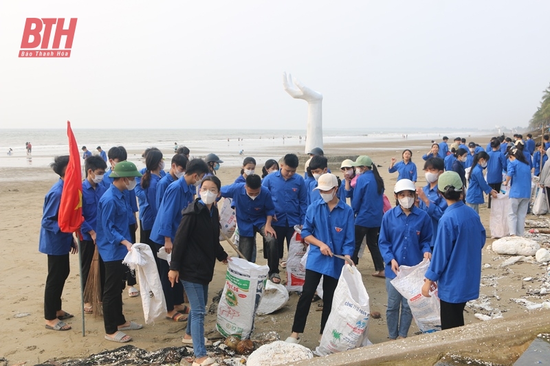 Hoang Hoa: Launching a campaign to clean up the environment of Hai Tien beach