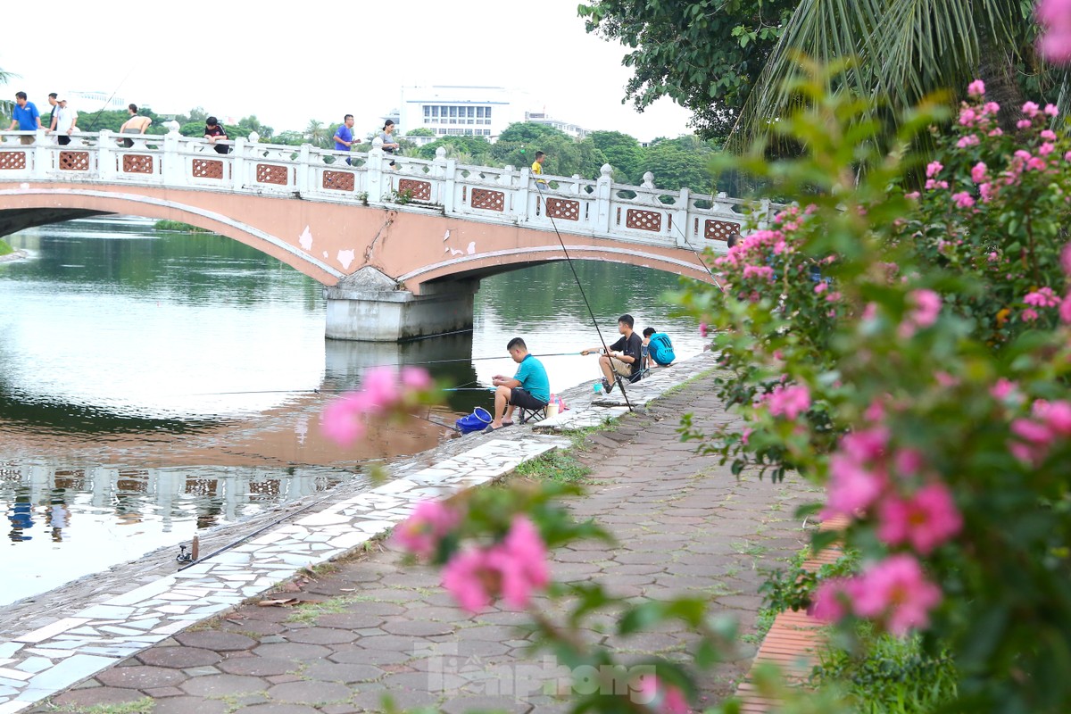 វិថីផ្ការីកដ៏ស្រស់បំព្រងនៅកណ្តាលទីក្រុងហាណូយ រូបថត ១០