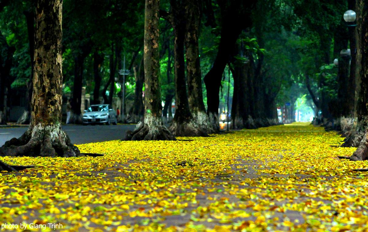 24 giờ check in mùa thu Hà Nội
