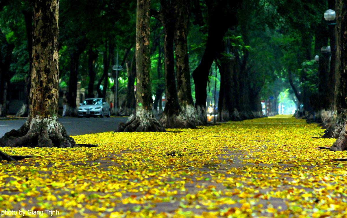 Check-in 24 horas en otoño en Hanoi