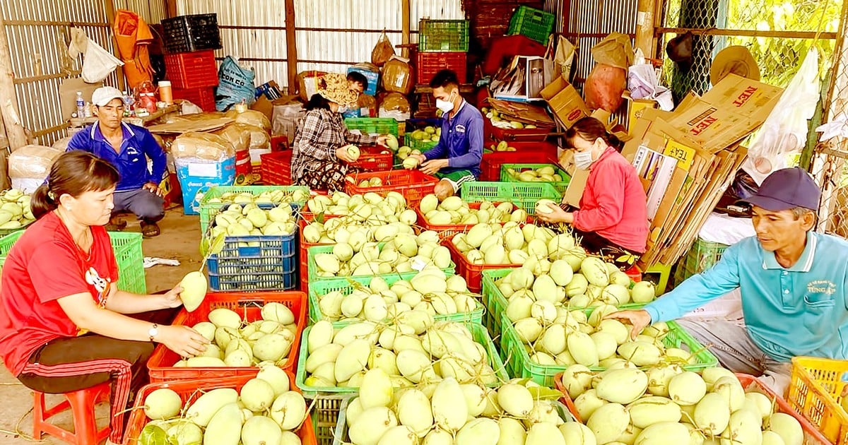 การตรวจสอบและติดตามรหัสพื้นที่เพาะปลูก - ความพยายามในการควบคุมคุณภาพผลิตภัณฑ์ทางการเกษตร