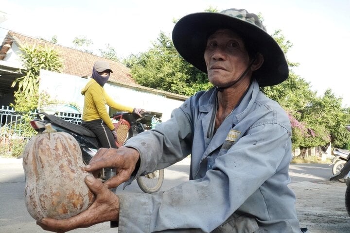 낫 씨는 이런 호박을 재배하려면 농부들이 3개월 동안 쉬지 않고 호박을 돌봐야 한다고 말했습니다.