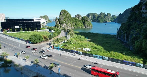 Proposal to support the investor of the abandoned golden land in Ha Long