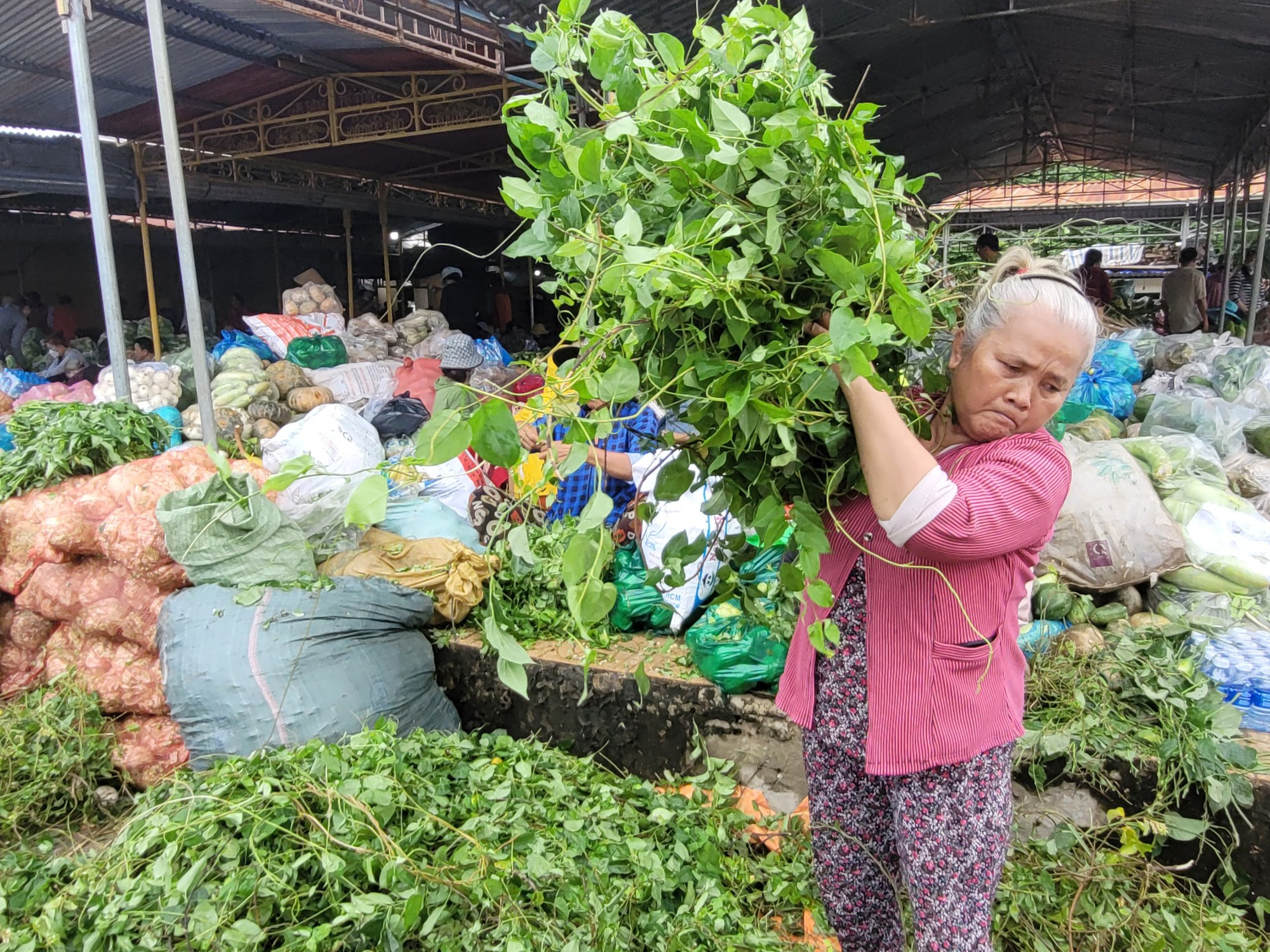 Những hình ảnh ấn tượng tại Tây Ninh - Ảnh 9.