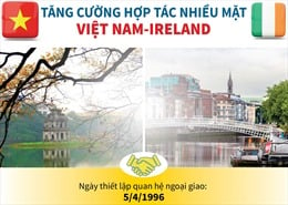 Bringing Vietnam - Ireland relations into depth, effectiveness and sustainability