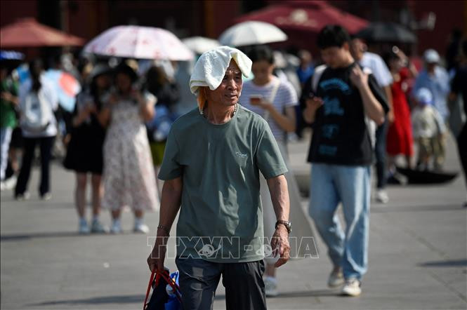 사진 설명