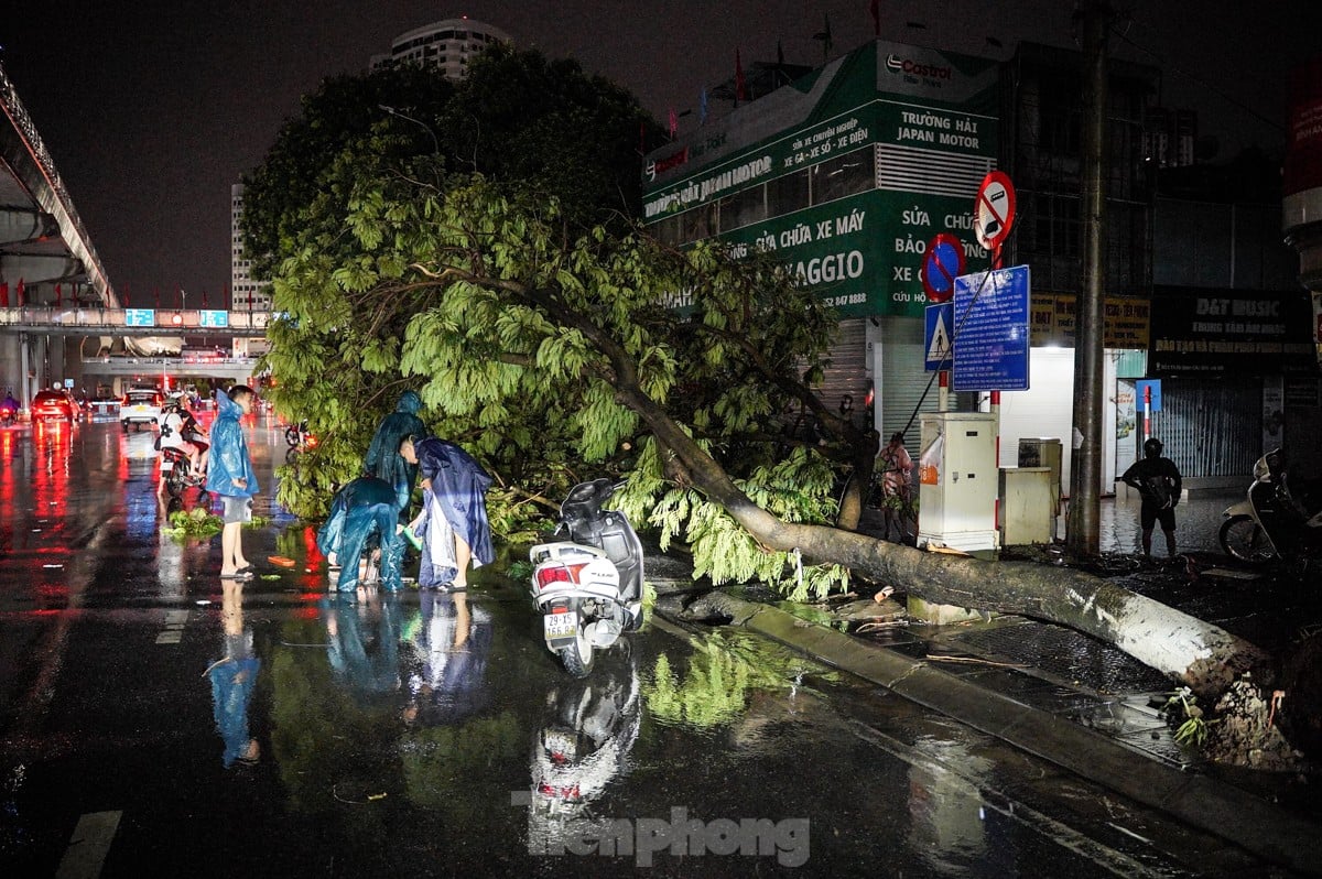 ハノイで大雨​​が降り、一連の木が倒れたり根こそぎにされたりした。写真6