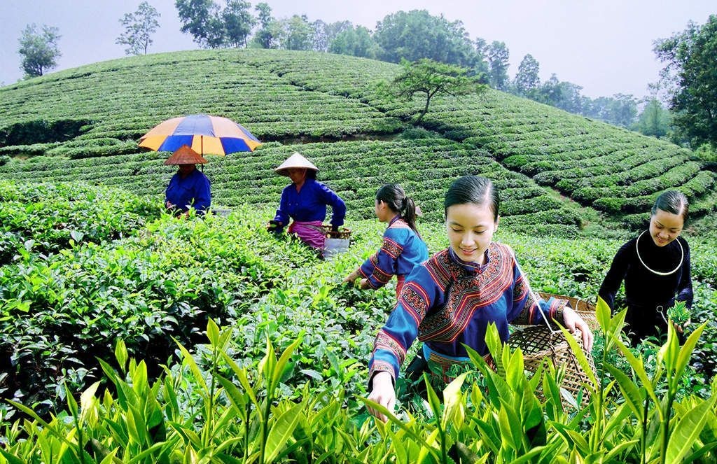 Ngôi làng "nông thôn mới kiểu mẫu"