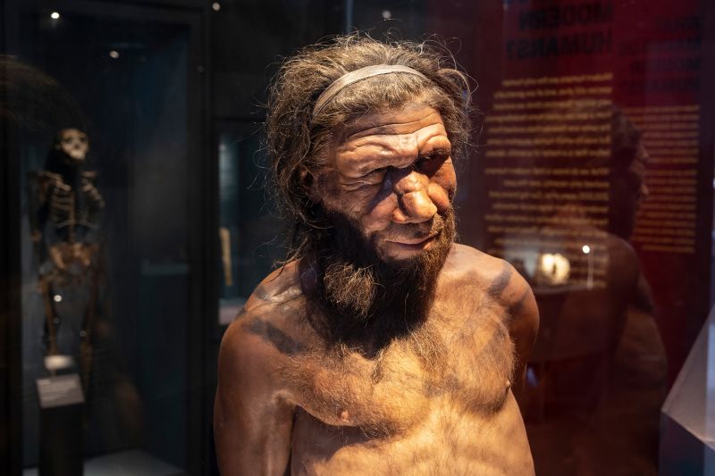 Who did the idea of ​​antibiotic resistance come from and did the neanderthals go extinct picture 1