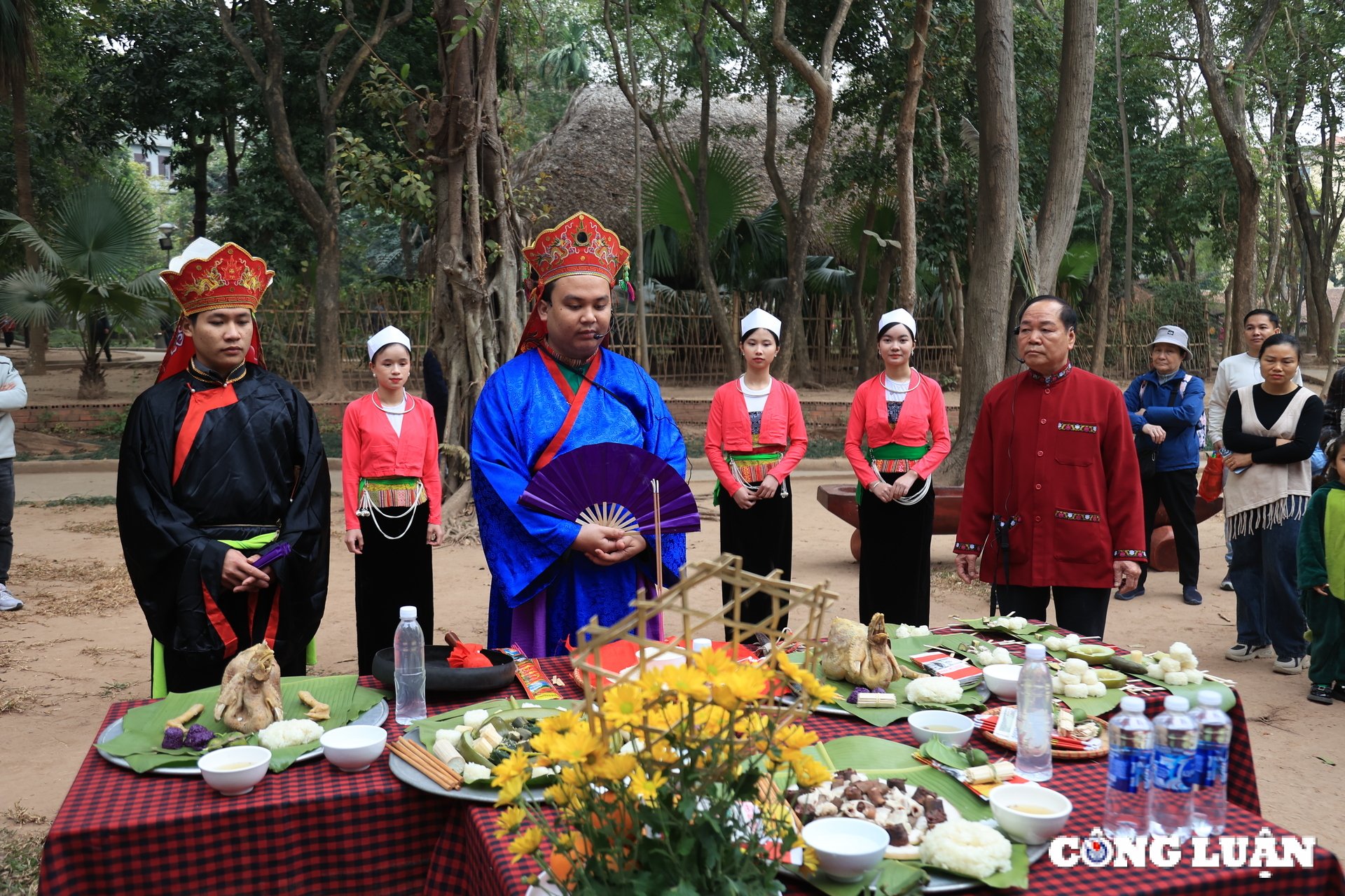 How do people in Binh Duong plant flowers on Tet holiday 2025? Picture 1