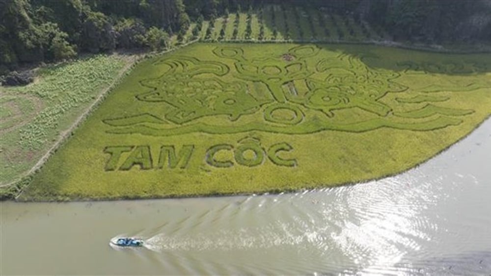 Peinture unique "Poissons regardant la lune" sur la rizière |=> Publié dans le journal Bac Giang