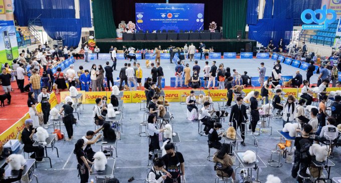 Le Vietnam Challenge Dog Show 2024 s'est tenu au Palais culturel de la jeunesse de Hai Phong, le 6 avril. Photo : Le Tan