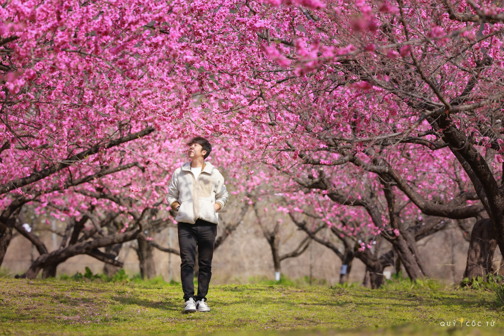 Ngo Tran Hai An ist der wirkliche Name des Reisebloggers und Fotografen Quy Coc Tu. Mitte April unternahm er eine Reise, um die Provinz Fukushima, die drittgrößte Provinz Japans, zu erkunden, genau zur Zeit der Kirschblüte.