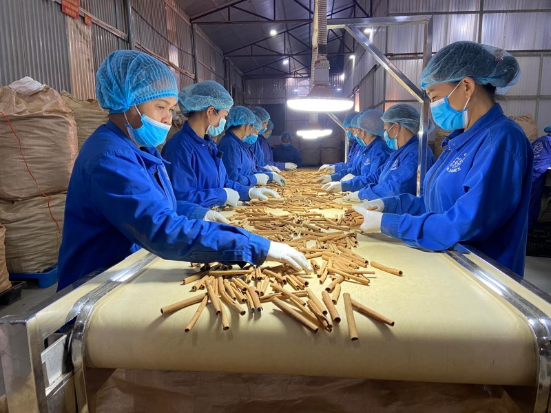 Förderung des Handels, Einführung vietnamesischer Waren auf dem indischen Markt